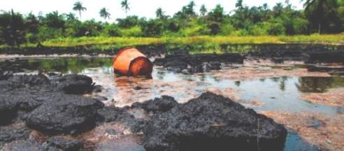 Image result for niger delta damaged by oil